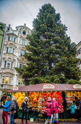 Giant Christmas tree in Innsbruck Altstadt